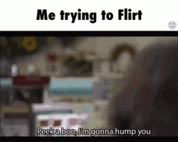 Flirty Guy Humping Move