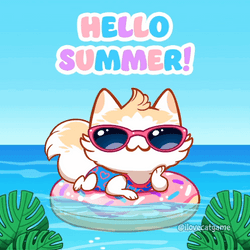 Floating Cat Summer Time GIF