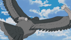 Flock Of Bird Flying GIF