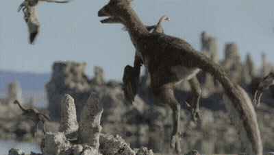 Flock Of Birds Flying Around Running Dinosaur GIF