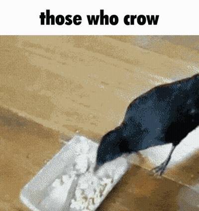 Flock Of Black Birds Saying Jar Jar Jar GIF
