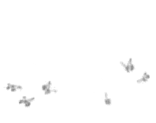 Flock Of Butterflies Flying Sticker