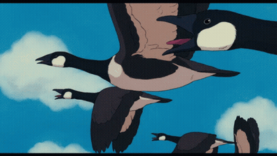 Flock of Geese Flying With Tongues Out