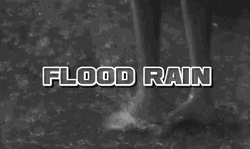 Flood Rain Walking Feet Black And White GIF