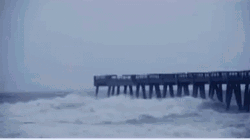 Flood Waves Crashing Hurricane Harvey Disaster GIF