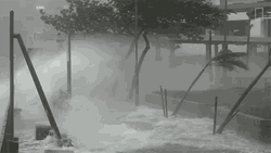 Flood Waves Crashing Typhoon National Geographic GIF