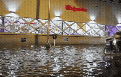 Flooded Area Outside Walgreens GIF