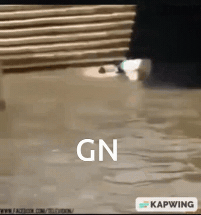 Flooded Area With Gn GIF