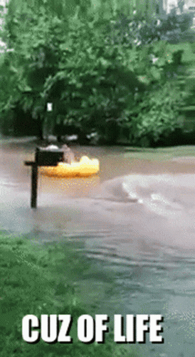 Flooded Street Cuz Of Life GIF