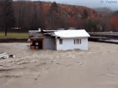 Flooded White House With Dr Vagisan GIF