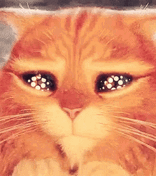Floral Wide Puss In Boots Eyes GIF