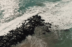 Florida California Beach GIF