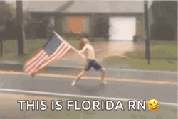 Florida GIF