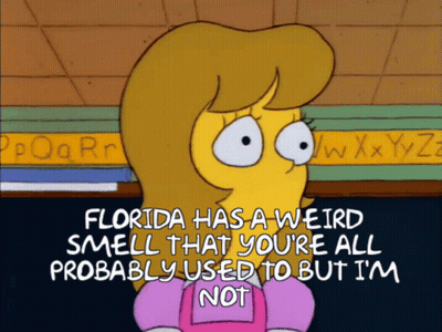 Florida Has A Weird Smell GIF