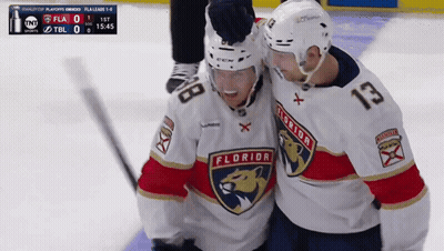 Florida Panthers Hockey Players Celebrating Goal GIF