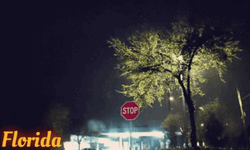 Florida Raining And Lightning Weather GIF