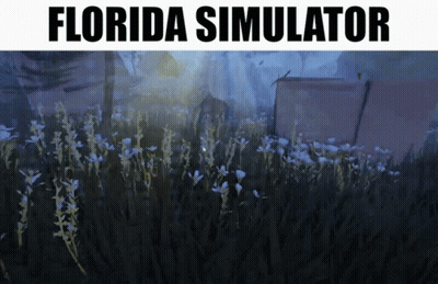 Florida Simulator Poster With Flower Field GIF