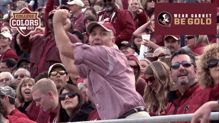 Florida State Goofy Fans Dancing GIF