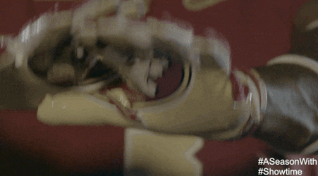 Florida State Logo Gloves GIF