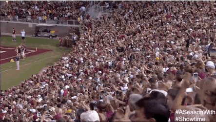 Florida State Many Fans Cheering GIF
