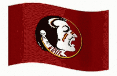 Florida State Red Flag GIF