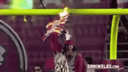 Florida State Riding Horse Tradition GIF