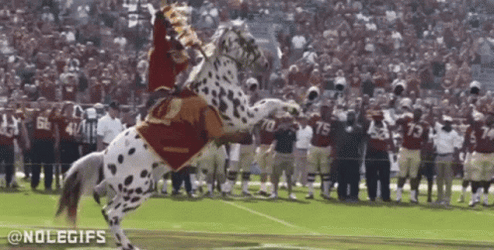Florida State Sticking The Stick GIF