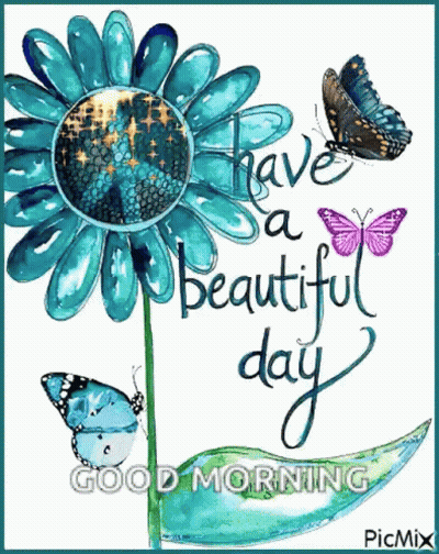 Flower And Butterflies Have A Beautiful Day GIF