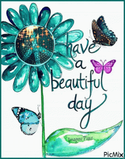 Flower And Butterflies Have A Beautiful Day GIF