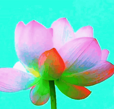 Flower Painting Saying Good Morning GIF