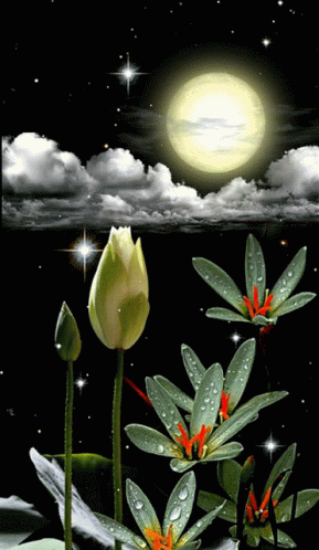 Flower Painting With Full Moon GIF