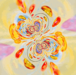 Flower Pattern Hypnosis Spiral GIF