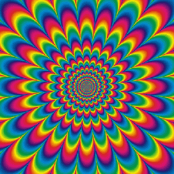Flower Petal Colorful Optical Illusion GIF