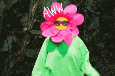 Flower Power Rainbow GIF