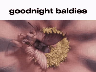 Flower Saying Goodnight Baldies