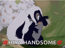 Flower Skunk Hiya Handsome GIF