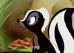 Flower Skunk Says Hi GIF