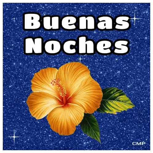Flower With Buenas Noches Sticker