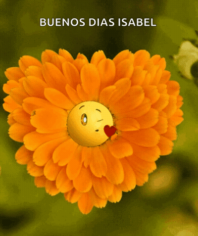 Flower With Face Saying Buenos Dias Isabel GIF