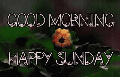 Flower With Good Morning And Happy Sunday GIF