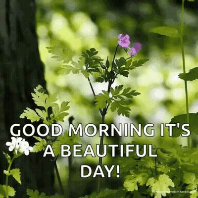 Flower With Good Morning Message GIF
