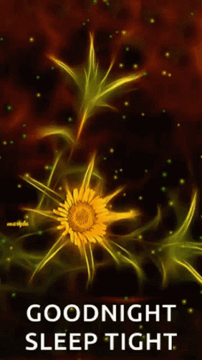Flower With Goodnight Sleep Tight GIF
