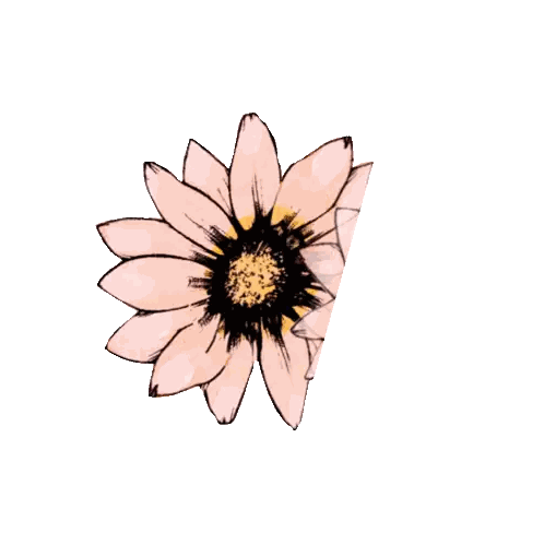 Flower With Yellow Center Sticker