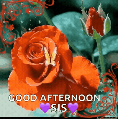 Flowers And Apples Saying Good Afternoon GIF