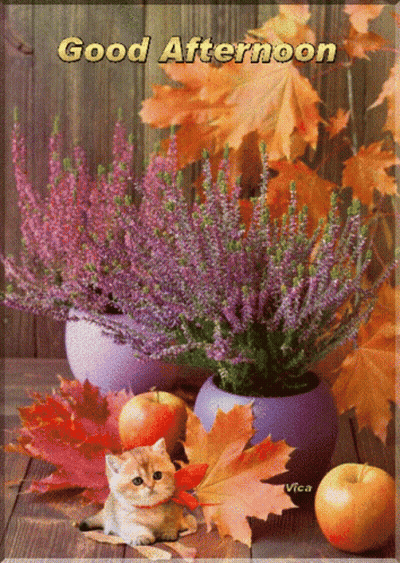 Flowers And Apples Saying Good Afternoon GIF