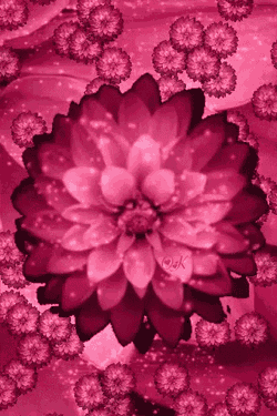 Flowers Animation GIF