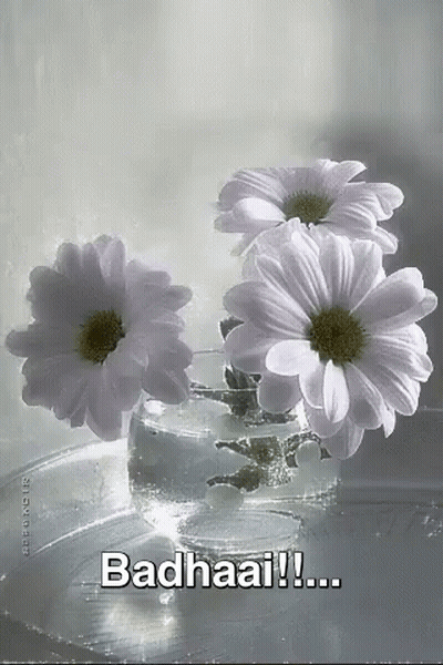 Flowers In A Vase Badhaai GIF