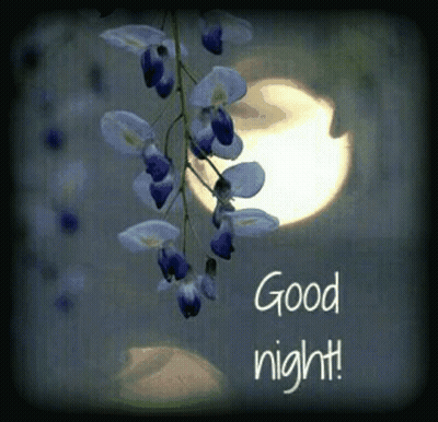 Flowers Saying Good Night GIF