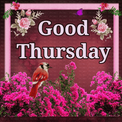 Flowers Saying Good Thursday GIF