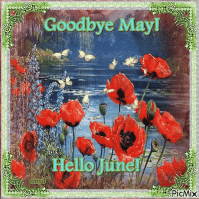 Flowers Saying Goodbye May Hello June GIF